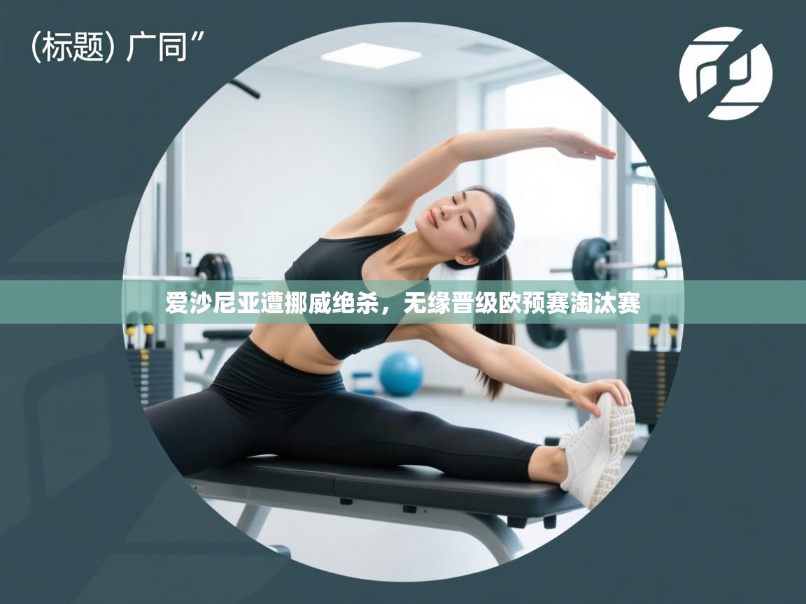 爱沙尼亚遭挪威绝杀，无缘晋级欧预赛淘汰赛  第2张